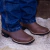 Bota Texana Masculina Gaio