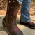 Bota Texana Femenina Sindi Cross - comprar online