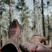 Dicas Country