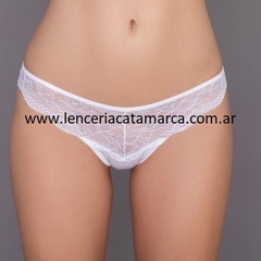 ANDRESSA PACK DE COLALESS DE MICROFIBRA, LYCRA Y ENCAJE L0305S - CATAMARCASEX LENCERIA Y SEX SHOP