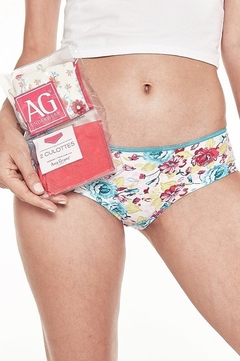 ANA GRANT PACK DE CULOTES ALGODON SURTIDO X 2 4465S - comprar online