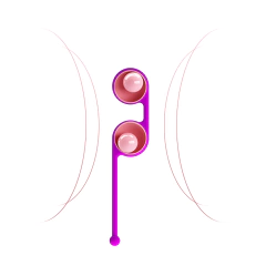 PRETTY LOVE BOLAS VAGINALES DOBLE PARA EJERCICIO KEGEL KEGEL TIGHTEN UP III BI-014493-2 - CATAMARCASEX LENCERIA Y SEX SHOP