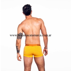 NARCISO MINI BOXER CALVIN RAYA MAIZ DE ALGODON en internet
