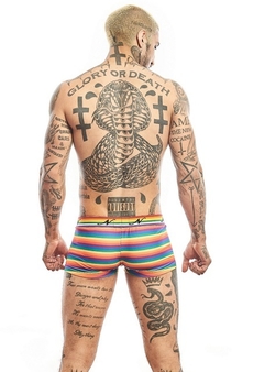 NARCISO MINI BOXER JAMES EMBLEMA MICROFIBRA en internet