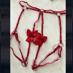 ARNES INFERIOR CON MOÑO REGULABLE ROJO 001 TU - comprar online