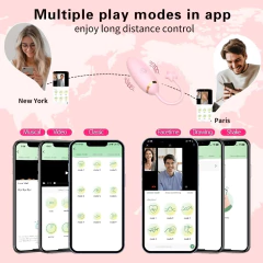 Imagen de SECWELL HUEVO ESTIMULADOR CON 9 MODOS DE VIBRACION CON CONTROL DE APP SW3041