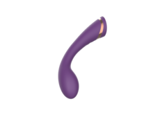 SECWELL CONSOLADOR ESTIMULADOR DE PUNTO G O PUNTO P VIBRADOR 10 VELOCIDADES RECARGABLE BUMP ORGASM SW3045