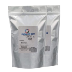CASTANHA DA INDIA FRUTO - comprar online