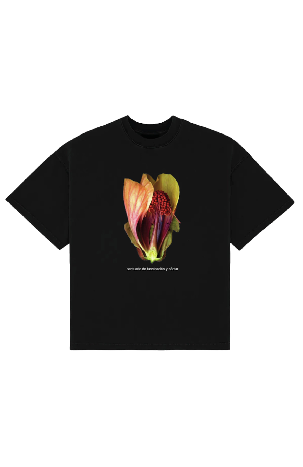 Remera NÉCTAR