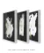 Conjunto com 3 Quadros Decorativos - BW Minimal 01 + BW Minimal 03 + BW Minimal 02 - loja online