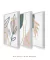 Conjunto com 3 Quadros Decorativos - Folhagem Boho + Nuances Spring 03 + Botanical Mint Spring - Rachel Moya | Art Studio - Quadros Decorativos