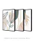 Conjunto com 3 Quadros Decorativos - Folhagem Boho + Nuances Spring 03 + Botanical Mint Spring na internet