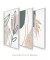 Conjunto com 3 Quadros Decorativos - Folhagem Boho + Nuances Spring 03 + Botanical Mint Spring - loja online