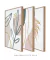 Conjunto com 3 Quadros Decorativos - Folhagem Boho + Nuances Spring 03 + Botanical Mint Spring na internet