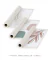 Conjunto com 3 Quadros Decorativos - Folhagem Rose + Modern Shapes 02 + Leaf Minimal Bege