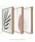 Imagem do Conjunto com 3 Quadros Decorativos - Leaf Minimal Colagem + Nuances Minimal Rose e Bege + Leaf Minimal Bege