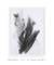 Quadro Decorativo Abstrato Soft Minimal Black Strokes 03