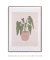 Quadro Decorativo Begônia Maculata Vaso Rosa - Rachel Moya | Art Studio - Quadros Decorativos
