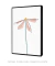 Quadro Decorativo Botânico Simple Flower - Rachel Moya | Art Studio - Quadros Decorativos