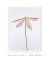 Imagem do Quadro Decorativo Botânico Simple Flower