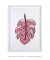 Quadro Decorativo Costela de Adão Rosa - Rachel Moya | Art Studio - Quadros Decorativos