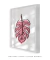 Quadro Decorativo Costela de Adão Rosa - loja online