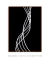 Imagem do Quadro Decorativo Linhas Preto