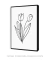 Quadro Decorativo Tulipas 02 - Rachel Moya | Art Studio - Quadros Decorativos