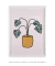 Quadro Decorativo Vaso Monstera - Rachel Moya | Art Studio - Quadros Decorativos