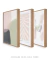 Conjunto com 3 Quadros Decorativos - Blooming Shapes N.01 + Inspirado Matisse Botânico Cut Outs Rose I + Blooming - comprar online