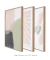 Conjunto com 3 Quadros Decorativos - Blooming Shapes N.01 + Inspirado Matisse Botânico Cut Outs Rose I + Blooming - comprar online