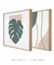 Conjunto com 2 Quadros Decorativos - Monstera Spring Quadrado + Nuances Spring 03 Quadrado - loja online