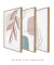 Imagem do Conjunto com 3 Quadros Decorativos - Folhagem Rose + Modern Shapes 02 + Leaf Minimal Bege