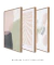 Conjunto com 3 Quadros Decorativos - Blooming Shapes N.01 + Inspirado Matisse Botânico Cut Outs Rose I + Blooming na internet