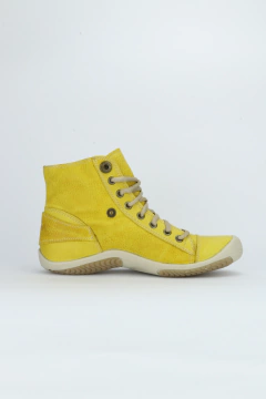 ZAPAS® en internet