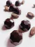 bombones con adaptogenos REISHI CHAGA MELENA DE LEON - comprar online