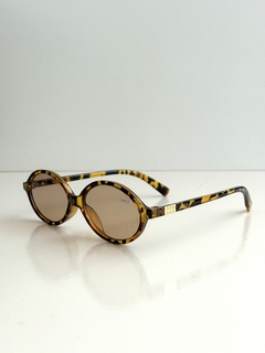 COZY - Wiczsunglass