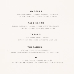 DIFUSOR 100 ML - Kion