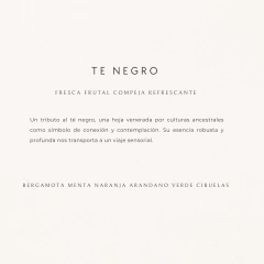 SAN FELIPE 500 ML - comprar online