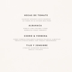 Imagen de DIFUSOR 100 ML