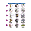 Gomas Intraorales X100u Ortodoncia Safari Ortho Organizers
