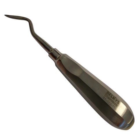 Elevador Apical Angulado Flohr Derecho Belkys (01-112-11) - comprar online