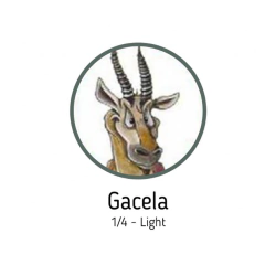 Gomas Intraorales X100u Ortodoncia Safari Ortho Organizers en internet