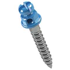 Mini Tornillo Cabeza de Bracket Morelli - comprar online