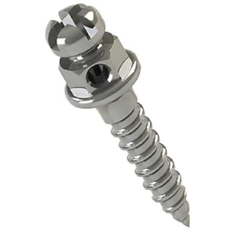 Mini Tornillo Cabeza de Bracket Morelli