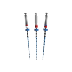 Kit 3 Limas Para Endodoncia Race Evo 6% FKG - comprar online