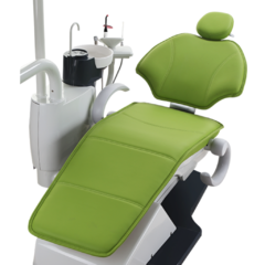 Unidad Dental - Sillón WOZO Cuero Colibrí Woson - comprar online