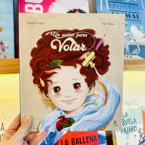 UN AVIÓN PARA VOLAR - comprar online