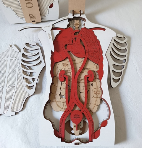 ROMPECABEZAS 3D CUERPO HUMANO