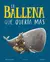 LA BALLENA QUE QUERIA MAS